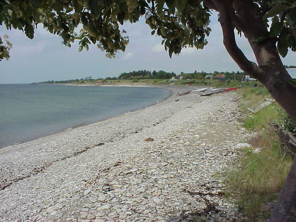 %_tempFileName2-Djupviken%